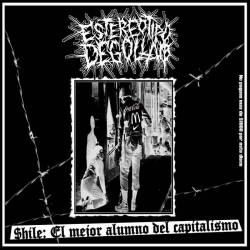 Estereotipo Degollao : $hile, el Mejor Alumno del Capitalismo